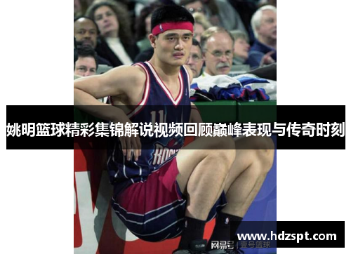 姚明篮球精彩集锦解说视频回顾巅峰表现与传奇时刻